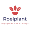 Roelplant